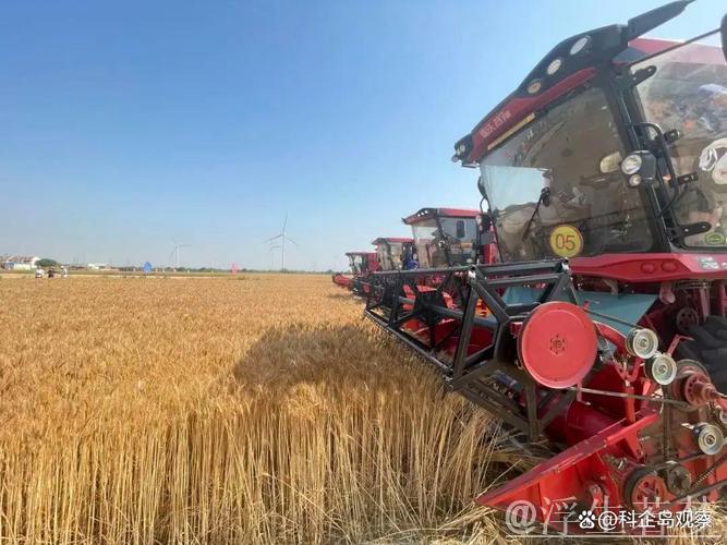 “三夏”里的新质生产力